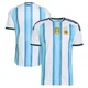 Men's Argentina National Team Blank White Authentic FIFA X World Cup 2026 Home On Field Soccer Jersey
