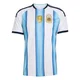 Men's Argentina National Team Blank White Replica FIFA X World Cup 2026 Home Soccer Jersey