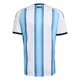 Men's Argentina National Team Blank White Replica FIFA X World Cup 2026 Home Soccer Jersey
