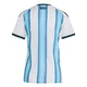 Women's Argentina National Team Blank White Replica FIFA X World Cup 2026 Home Soccer Jersey